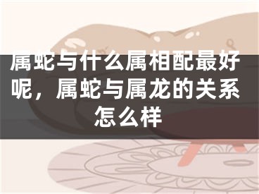 属蛇与什么属相配最好呢，属蛇与属龙的关系怎么样