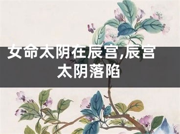 女命太阴在辰宫,辰宫太阴落陷
