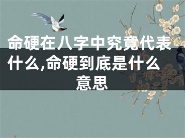 命硬在八字中究竟代表什么,命硬到底是什么意思