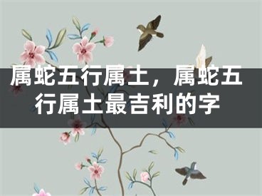 属蛇五行属土，属蛇五行属土最吉利的字