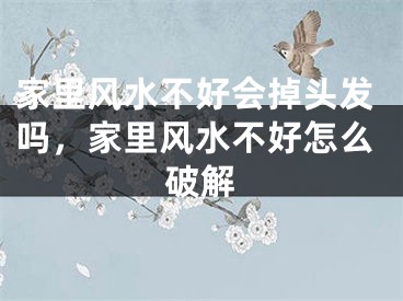 家里风水不好会掉头发吗，家里风水不好怎么破解