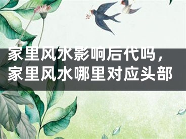 家里风水影响后代吗，家里风水哪里对应头部