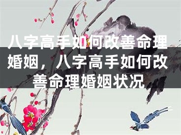 八字高手如何改善命理婚姻,八字高手如何改善命理婚姻状况