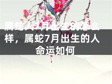属蛇人7月出生的怎么样，属蛇7月出生的人命运如何
