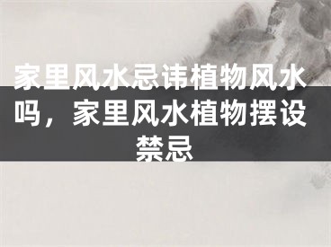 家里风水忌讳植物风水吗，家里风水植物摆设禁忌