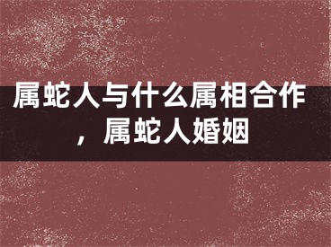 属蛇人与什么属相合作，属蛇人婚姻