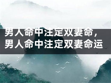 男人命中注定双妻命，男人命中注定双妻命运