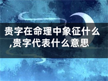 贵字在命理中象征什么,贵字代表什么意思