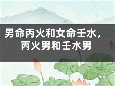 男命丙火和女命壬水，丙火男和壬水男