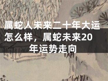 属蛇人未来二十年大运怎么样,属蛇未来20年运势走向