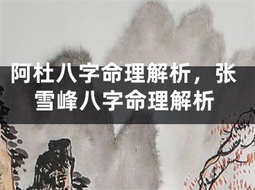 阿杜八字命理解析,张雪峰八字命理解析
