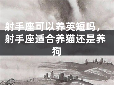 射手座可以养英短吗，射手座适合养猫还是养狗