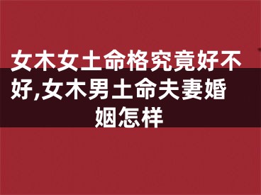 女木女土命格究竟好不好,女木男土命夫妻婚姻怎样