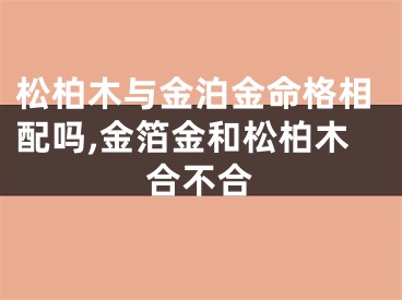 松柏木与金泊金命格相配吗,金箔金和松柏木合不合