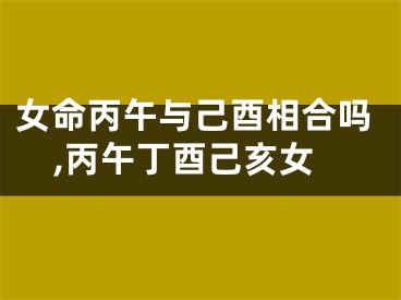 女命丙午与己酉相合吗,丙午丁酉己亥女