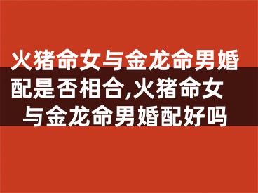 火猪命女与金龙命男婚配是否相合,火猪命女与金龙命男婚配好吗