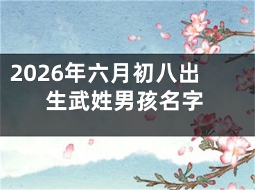 2026年六月初八出生武姓男孩名字