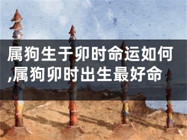 属狗生于卯时命运如何,属狗卯时出生最好命