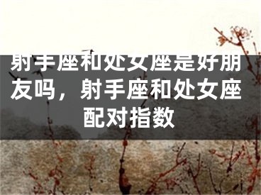射手座和处女座是好朋友吗，射手座和处女座配对指数