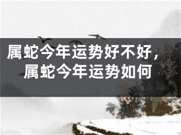 属蛇今年运势好不好，属蛇今年运势如何