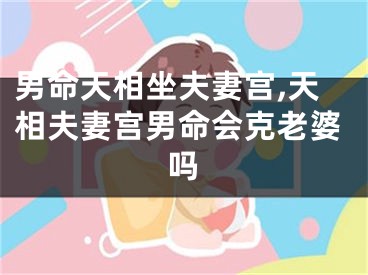 男命天相坐夫妻宫,天相夫妻宫男命会克老婆吗