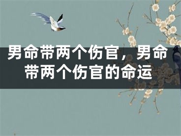 男命带两个伤官，男命带两个伤官的命运