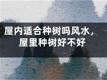 屋内适合种树吗风水，屋里种树好不好