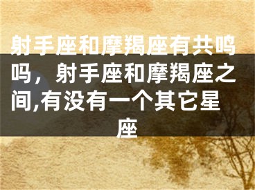 射手座和摩羯座有共鸣吗，射手座和摩羯座之间,有没有一个其它星座