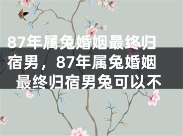 87年属兔婚姻最终归宿男，87年属兔婚姻最终归宿男兔可以不