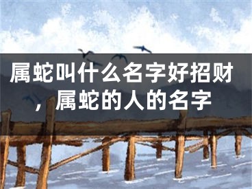 属蛇叫什么名字好招财,属蛇的人的名字