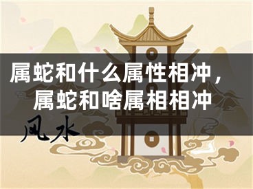 属蛇和什么属性相冲,属蛇和啥属相相冲
