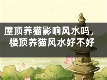 屋顶养猫影响风水吗，楼顶养猫风水好不好