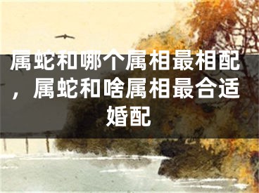 属蛇和哪个属相最相配，属蛇和啥属相最合适婚配