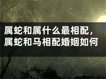 属蛇和属什么最相配，属蛇和马相配婚姻如何