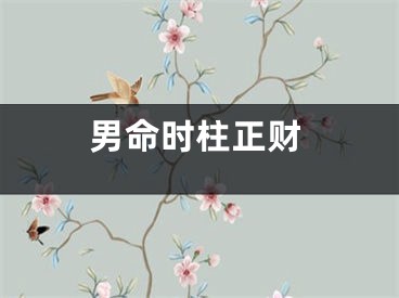 男命时柱正财