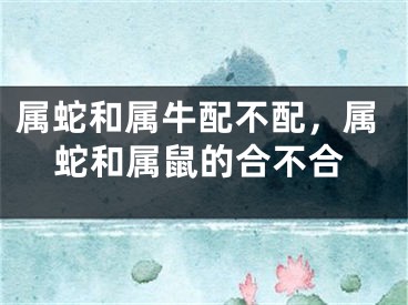 属蛇和属牛配不配，属蛇和属鼠的合不合