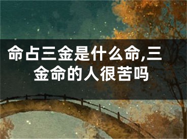 命占三金是什么命,三金命的人很苦吗