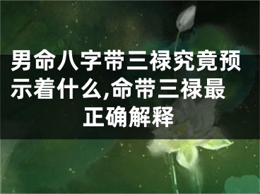 男命八字带三禄究竟预示着什么,命带三禄最正确解释