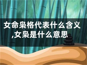 女命枭格代表什么含义,女枭是什么意思