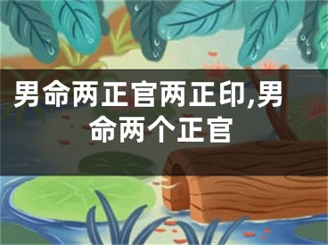 男命两正官两正印,男命两个正官