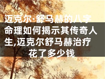 迈克尔·舒马赫的八字命理如何揭示其传奇人生,迈克尔舒马赫治疗花了多少钱