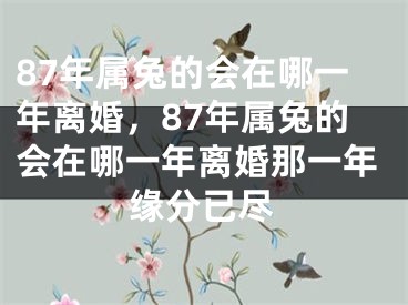 87年属兔的会在哪一年离婚，87年属兔的会在哪一年离婚那一年缘分已尽