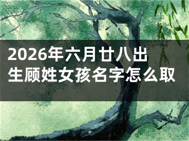 2026年六月廿八出生顾姓女孩名字怎么取