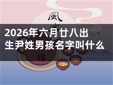 2026年六月廿八出生尹姓男孩名字叫什么