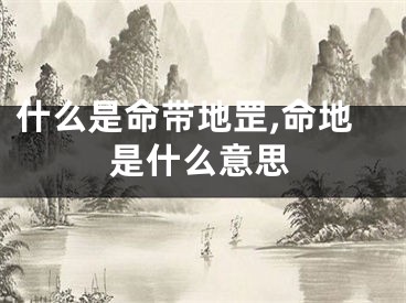 什么是命带地罡,命地是什么意思