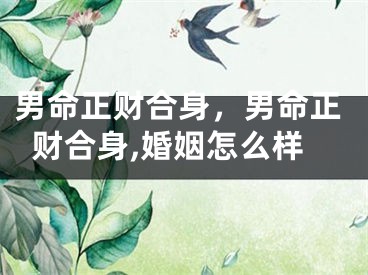 男命正财合身，男命正财合身,婚姻怎么样