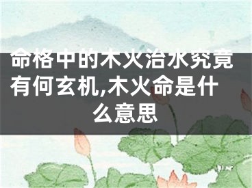 命格中的木火治水究竟有何玄机,木火命是什么意思