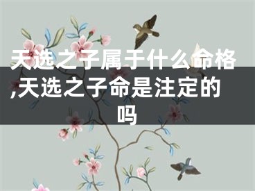 天选之子属于什么命格,天选之子命是注定的吗