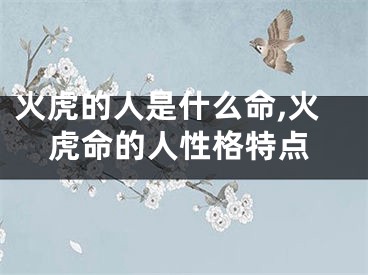 火虎的人是什么命,火虎命的人性格特点