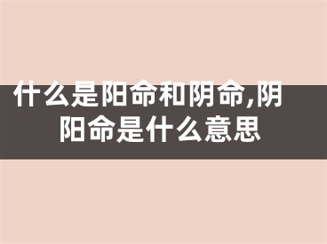 什么是阳命和阴命,阴阳命是什么意思